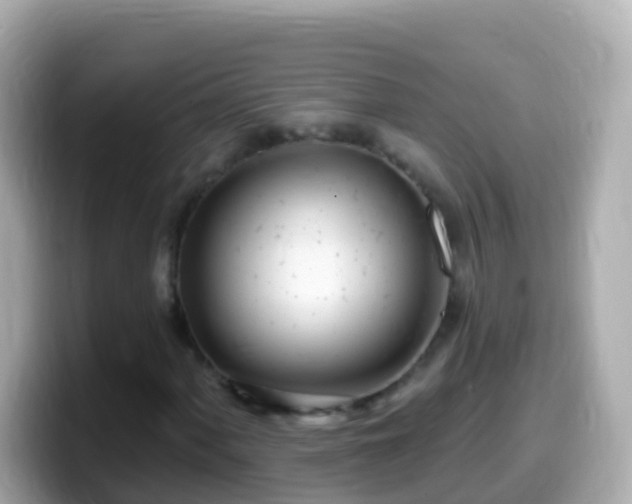 X0000099581060200805231546