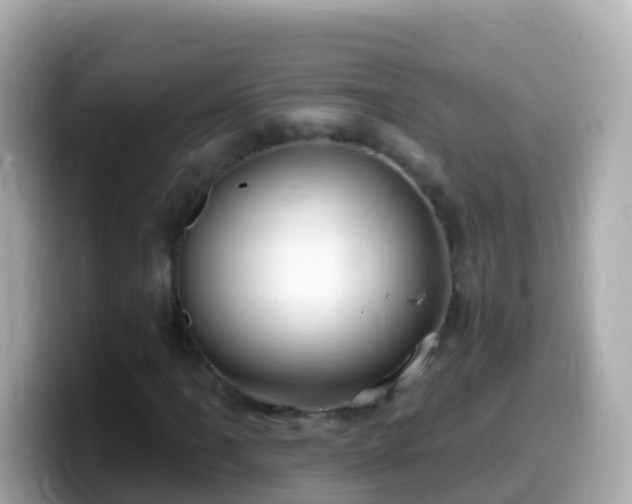 X0000099581061200805231546