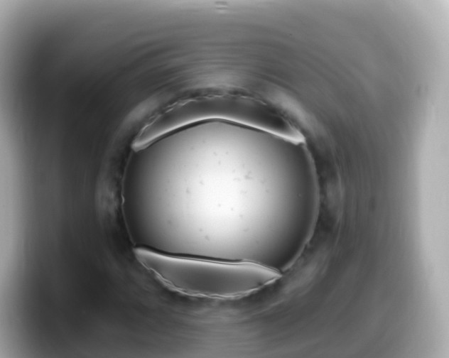 X0000099581064200805231546