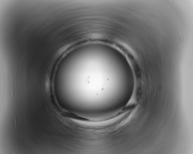 X0000099581065200805231546