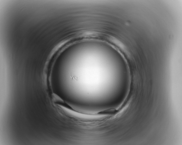 X0000099581066200805231546