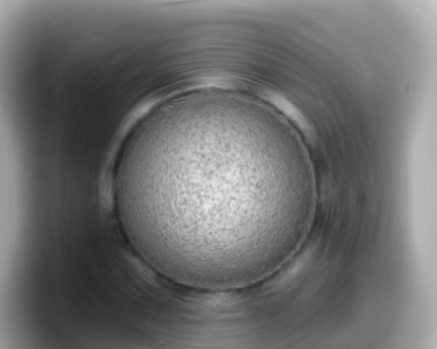 X0000099581067200805231546