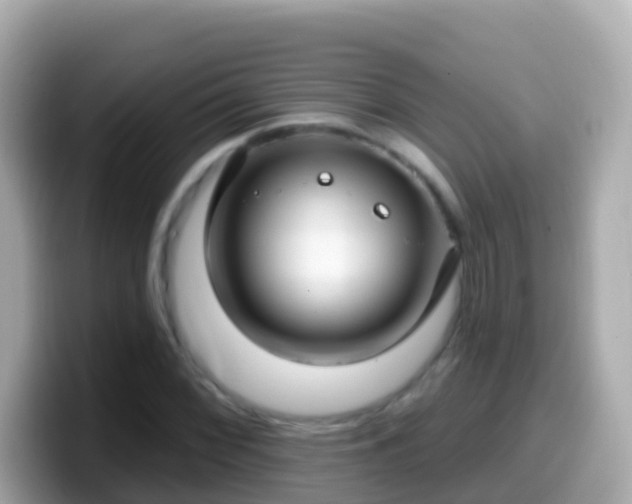 X0000099581068200805231546