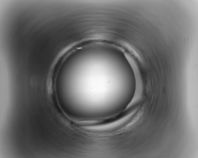 X0000099581069200805231546