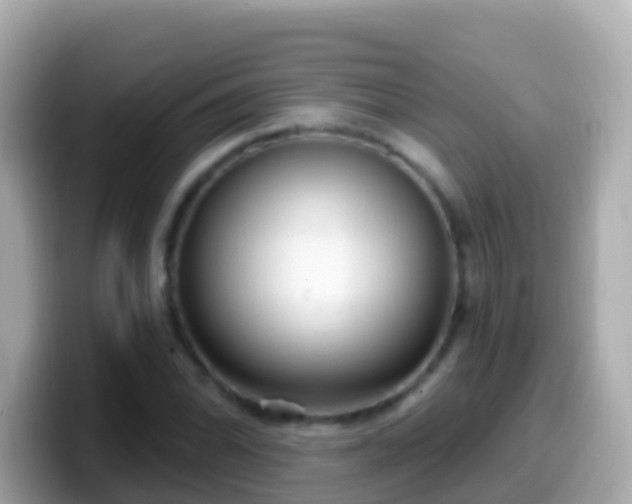 X0000099581070200805231546