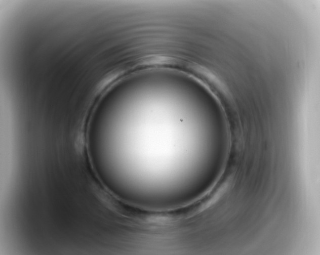 X0000099581073200805231546
