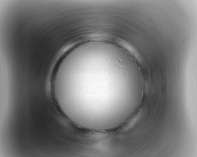 X0000099581074200805231546