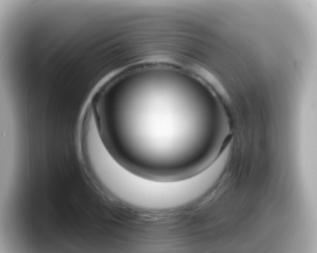 X0000099581076200805231546