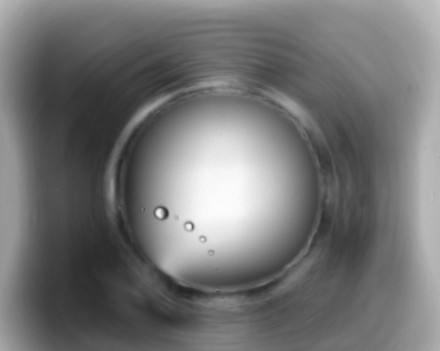 X0000099581078200805231546