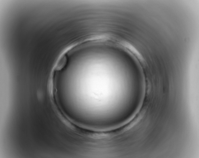 X0000099581079200805231546