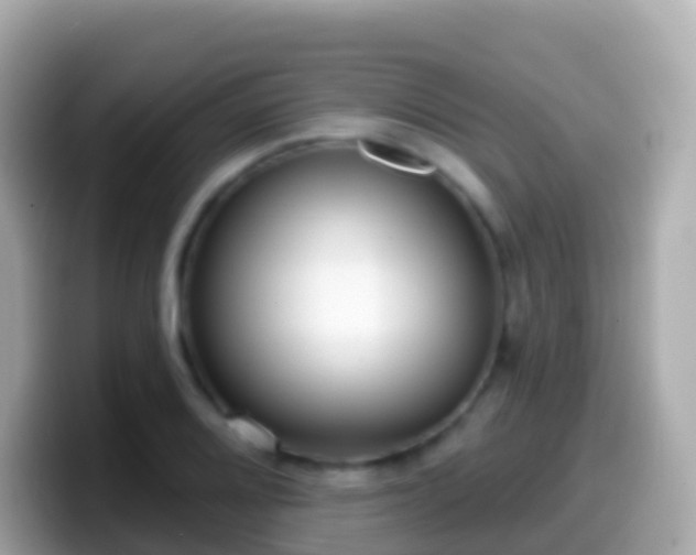 X0000099581080200805231546