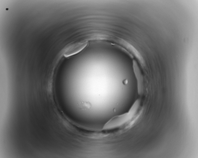 X0000099581081200805231546