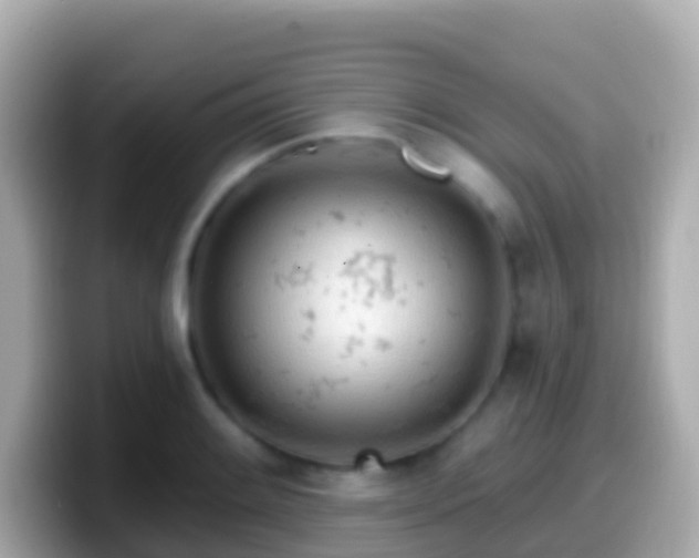 X0000099581084200805231546