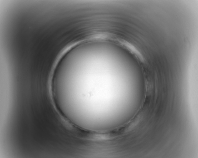X0000099581086200805231546