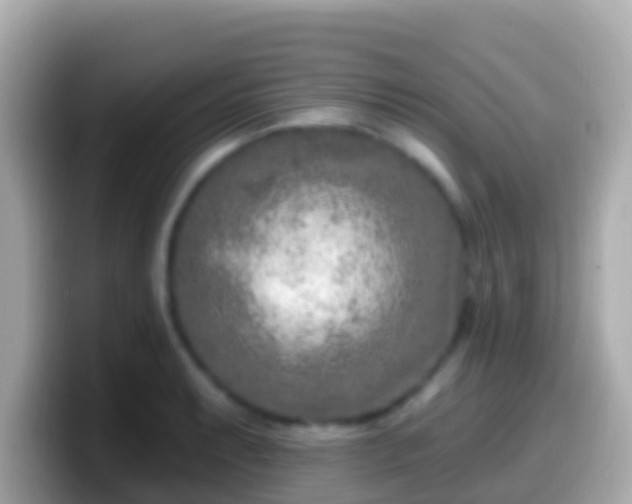 X0000099581087200805231546