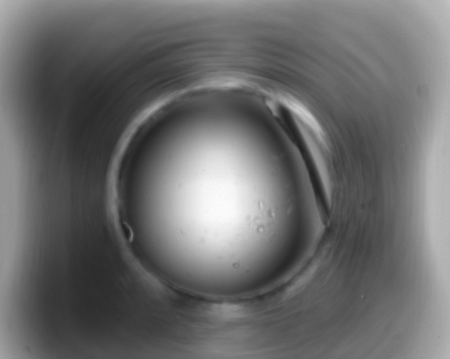 X0000099581088200805231546