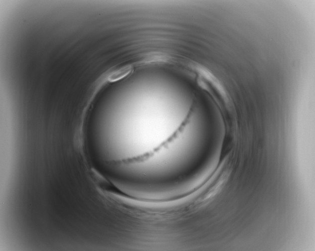 X0000099581089200805231546