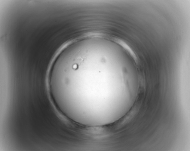 X0000099581090200805231546