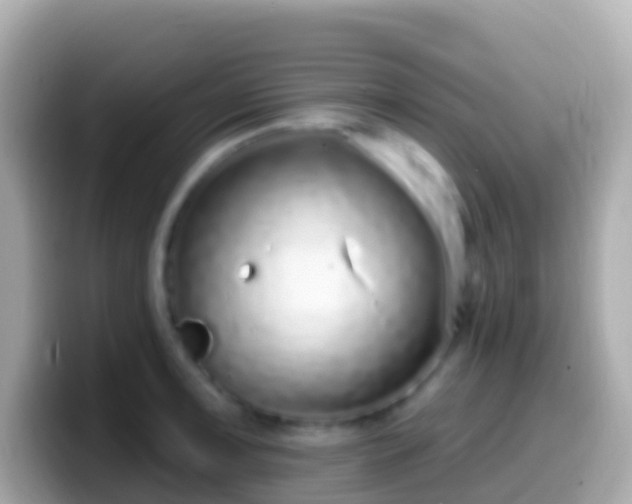 X0000099581091200805231546