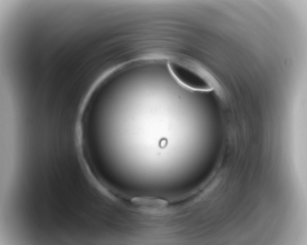 X0000099581092200805231546