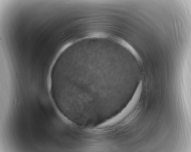 X0000099581095200805231546