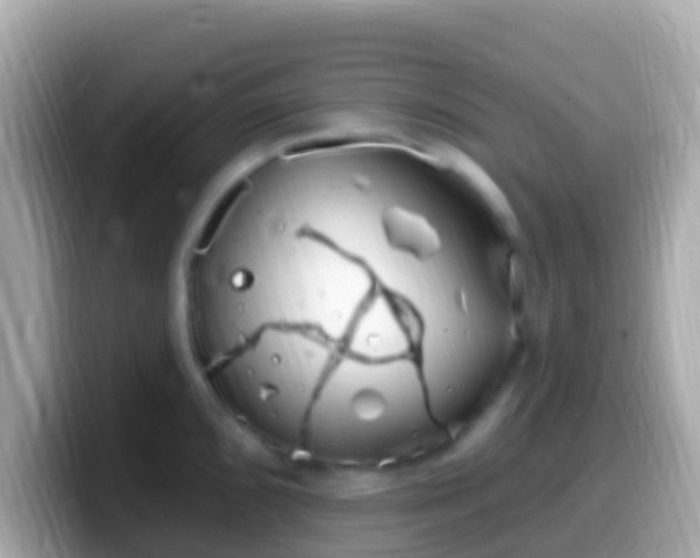 X0000099581096200805231546