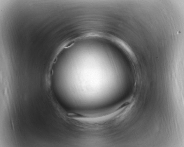 X0000099581097200805231546