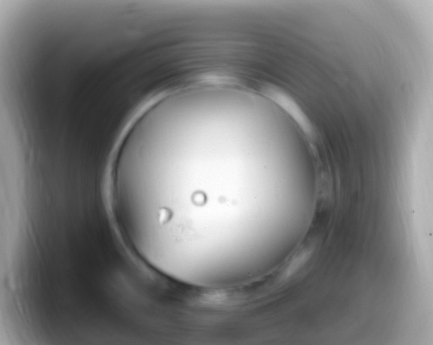 X0000099581098200805231546