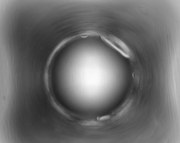 X0000099581100200805231546