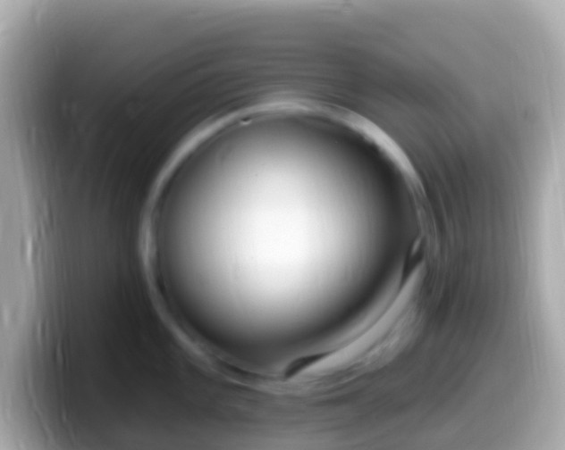X0000099581101200805231546