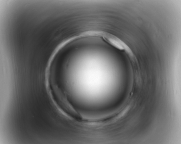 X0000099581102200805231546