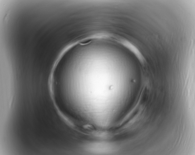 X0000099581103200805231546