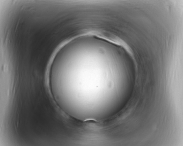 X0000099581104200805231546