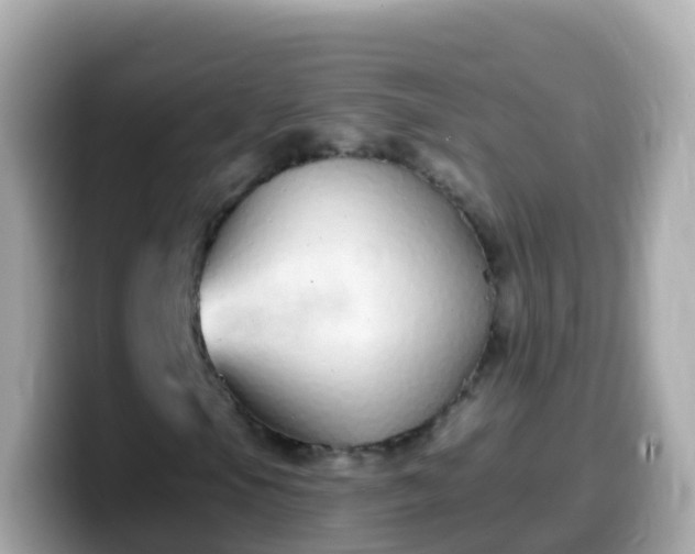 X0000099581105200805231545