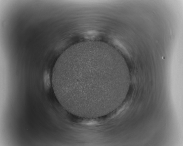 X0000099581106200805231545