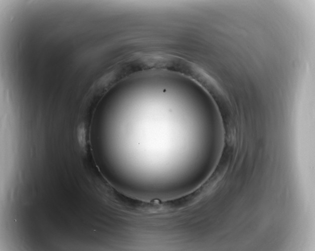X0000099581108200805231545