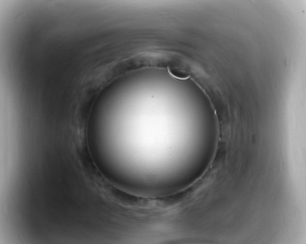 X0000099581109200805231545