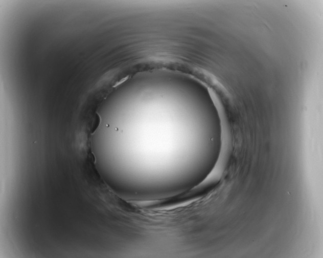 X0000099581110200805231545