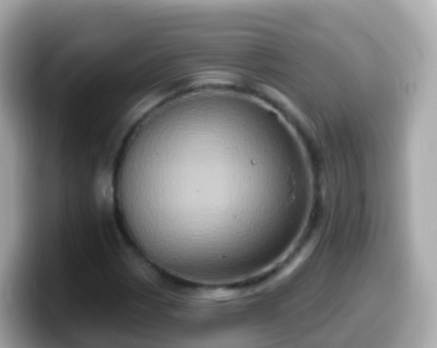 X0000099581113200805231545