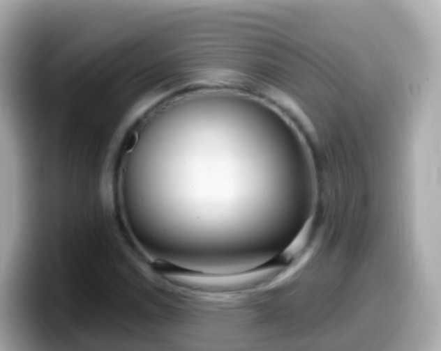 X0000099581114200805231545