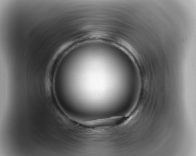 X0000099581115200805231545