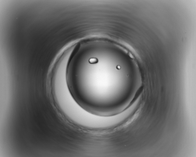 X0000099581118200805231545