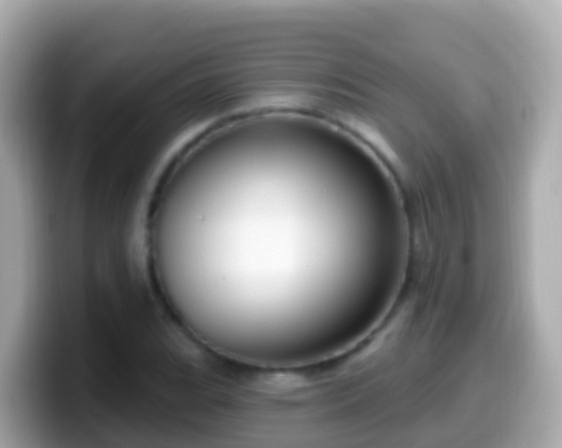 X0000099581119200805231545