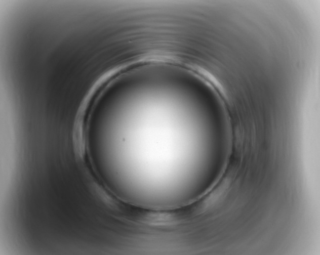 X0000099581123200805231545