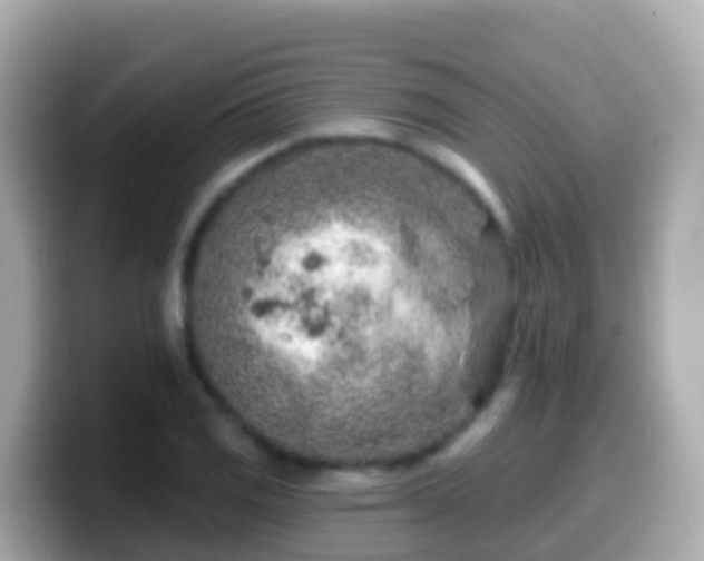X0000099581125200805231545