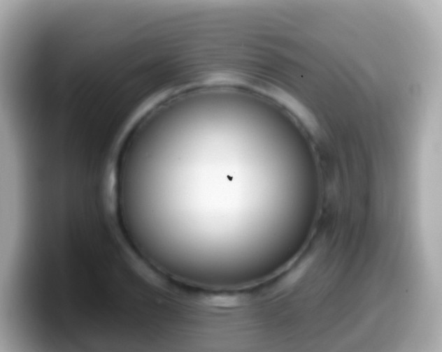 X0000099581126200805231545