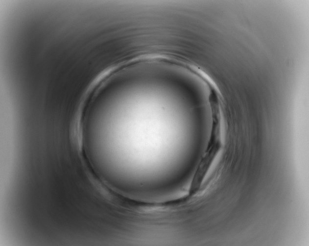 X0000099581127200805231545