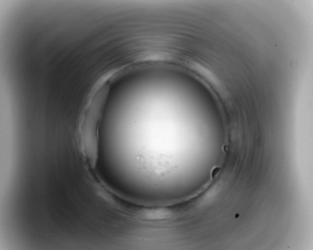 X0000099581129200805231545