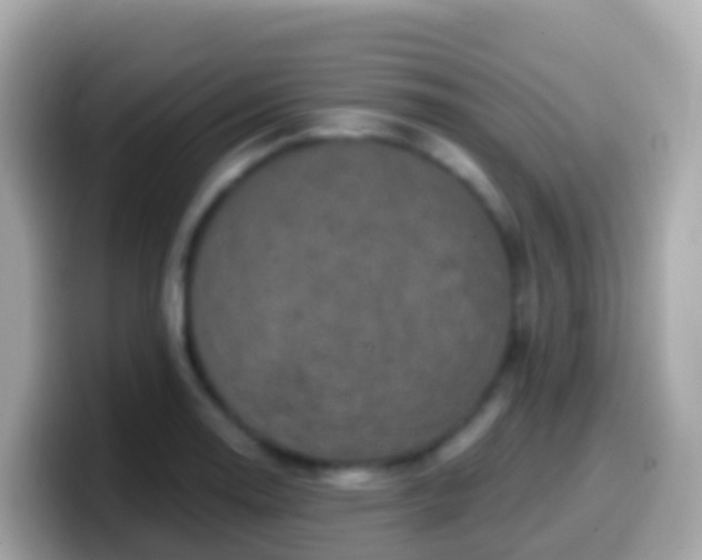 X0000099581130200805231545