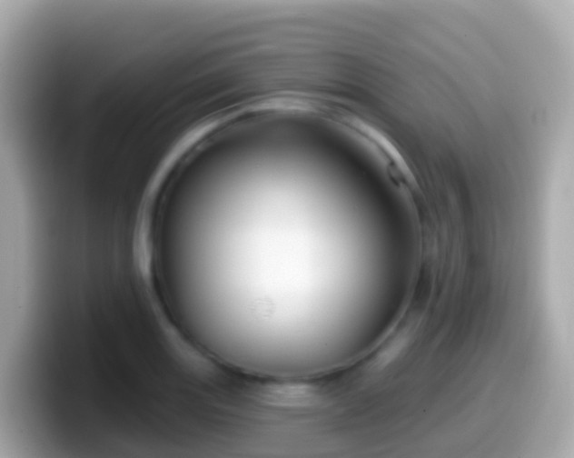 X0000099581131200805231545